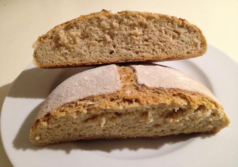 12122699_10206687545819625_486415880774456050_n